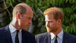 William und Harry treten bei Würdigung Dianas getrennt auf