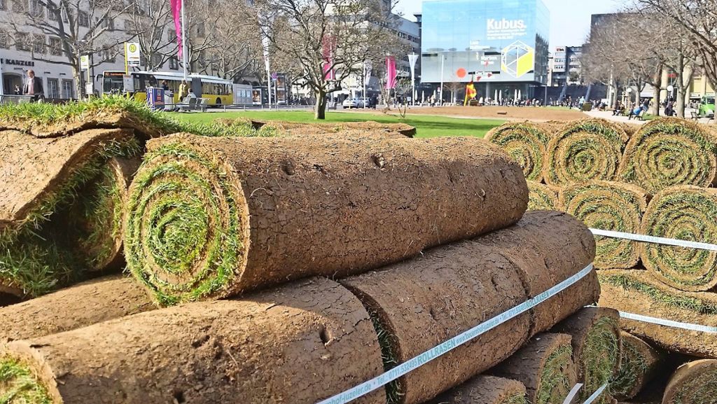 Stuttgarter Schlossplatz: Die Eisbahn-Brache wird endlich wieder grün