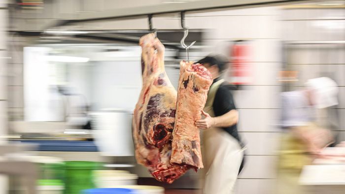 Geprüfte Betriebe fallen bei Fleischkennzeichnung durch