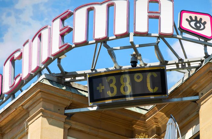 Klimawandel in Stuttgart: Wo muss die Stadt beim Hitzeschutz am dringendsten handeln?