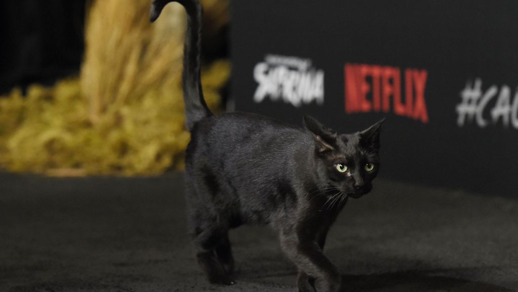 Netflix-Serie „Chilling Adventures of Sabrina“: Die Katze auf dem Premieren-Catwalk