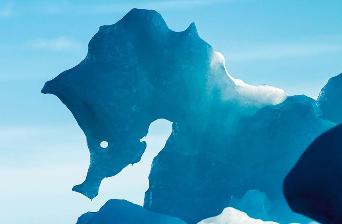 Die Natur ist Meister im Formen von Skulpturen: Dieses „Seepferdchen“ aus Eis entdeckte der Fotograf in Grönland.