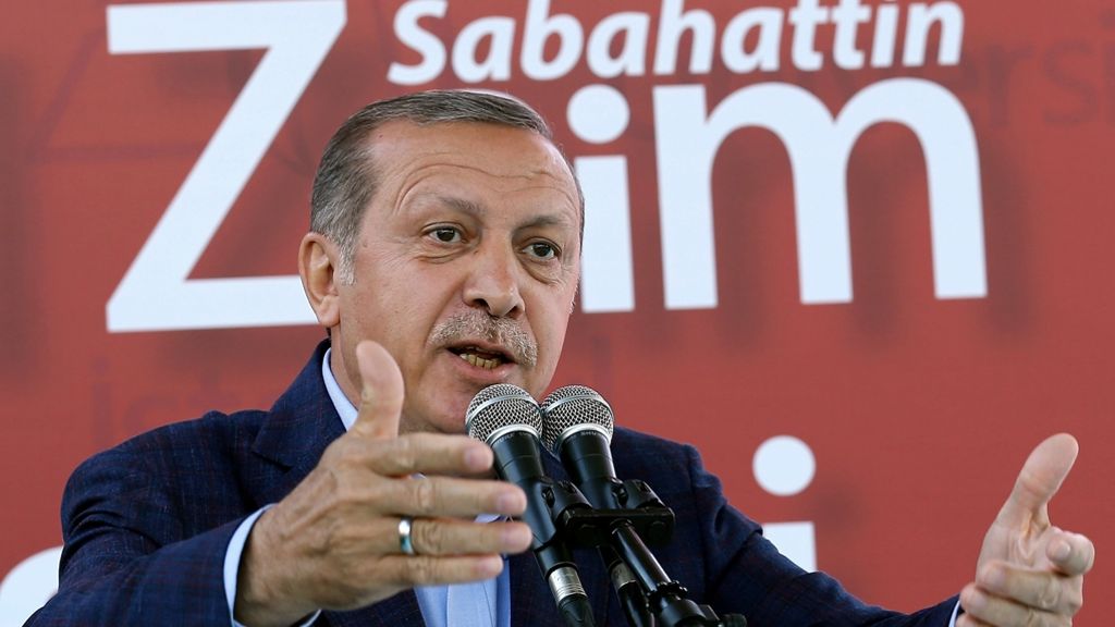 Türkischstämmige Abgeordnete im Bundestag: Präsident Erdogan fordert Blutprobe