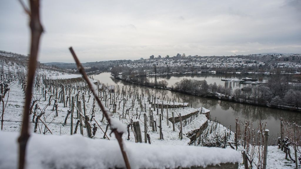 Sibirische Kälte: Eisige Temperaturen haben Stuttgart weiter fest im Griff