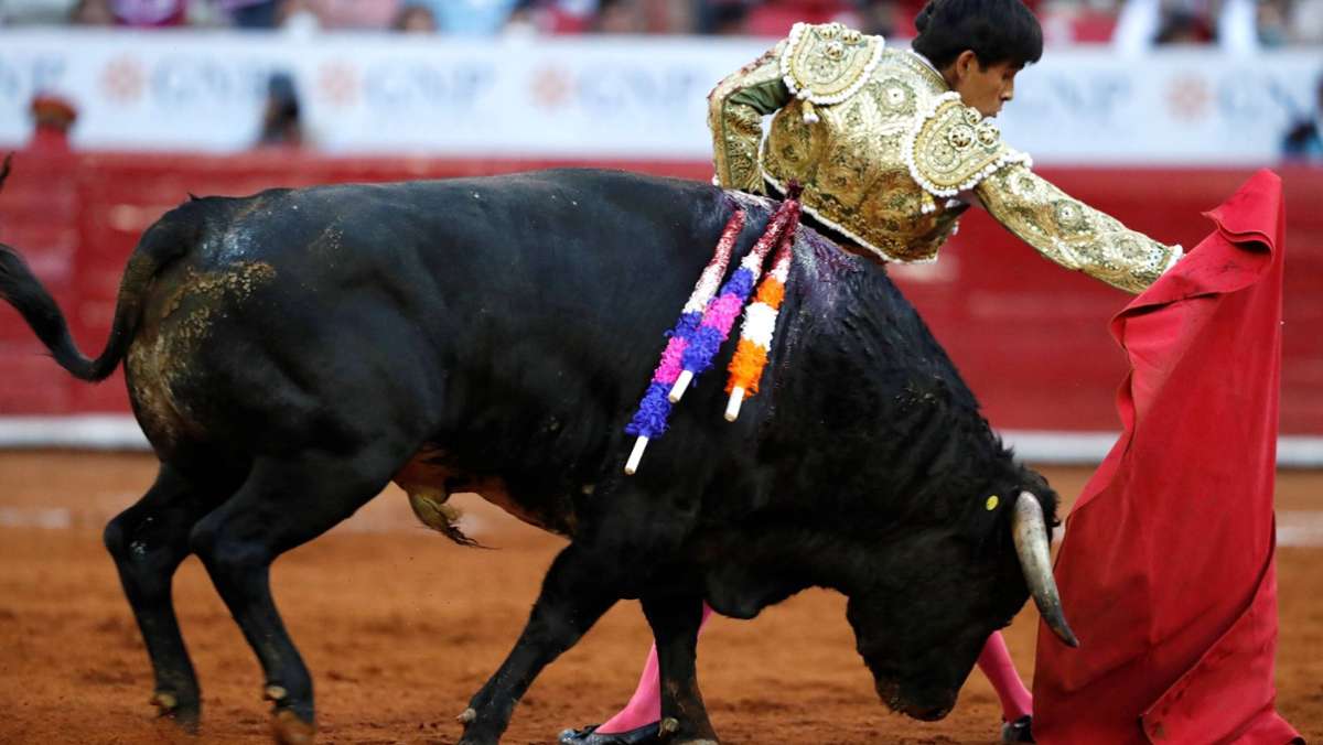 Mexiko: Gericht verbietet Stierkämpfe in größter Arena der Welt