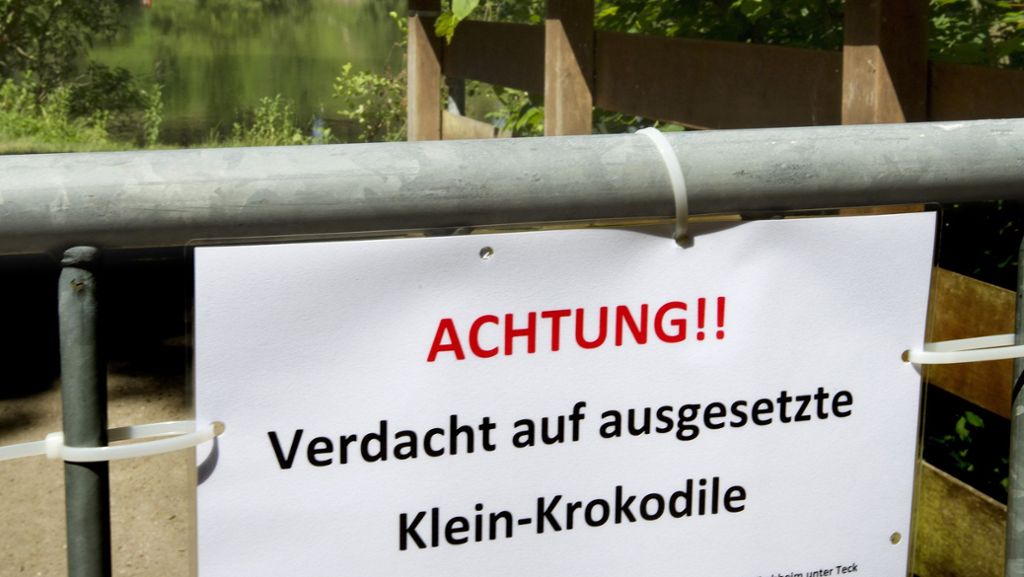 Wieder Kroko-Alarm bei Kirchheim: Kaiman-Attrappen in Bürgerseen gefunden