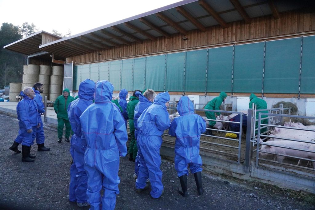 Dort, so verlautete erst diese Woche, war nur 42 Kilometer von der deutschen Grenze entfernt ein verendetes Wildschwein entdeckt worden, das den gefährlichen ASP-Virus in sich trug.