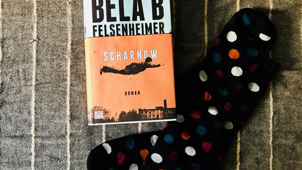 Bestseller-TÜV: Was taugt eigentlich „Scharnow“ von Bela B?