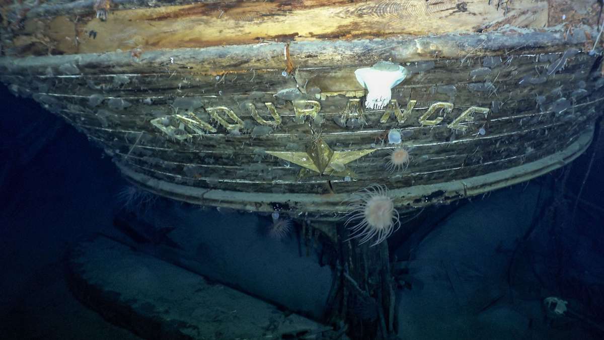 Endurance: Forscher entdecken Schiffswrack nach mehr als 100 Jahren