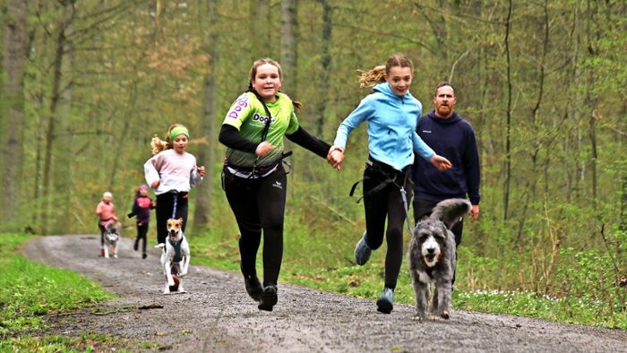 Zughunde-Camp in Renningen: Ein Schnupperkurs ist nicht nur was für Hunde