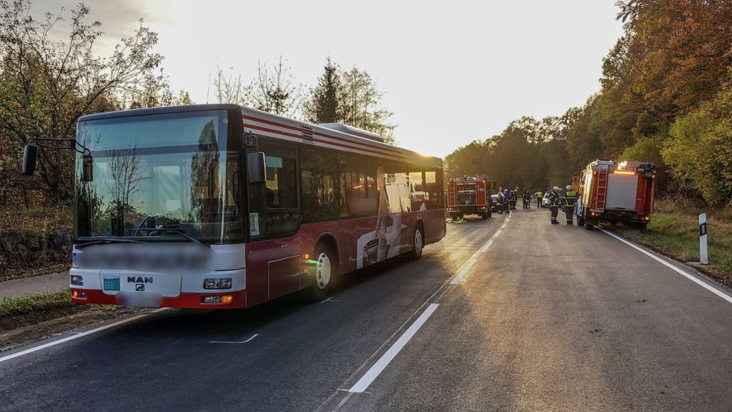 Baltmannsweiler im Kreis Esslingen: Mehrere Verletzte nach Bus-Vollbremsung