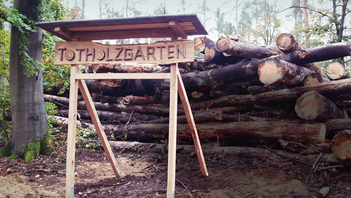 Erster Totholzgarten des Landes in Walldorf: Eine Heimat für für Käfer, Echsen und Pilze