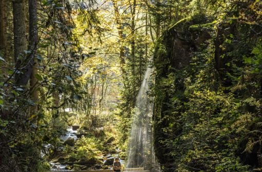 Hochschwarzwald –  Reiseziel wie  aus einem Bilderbuch