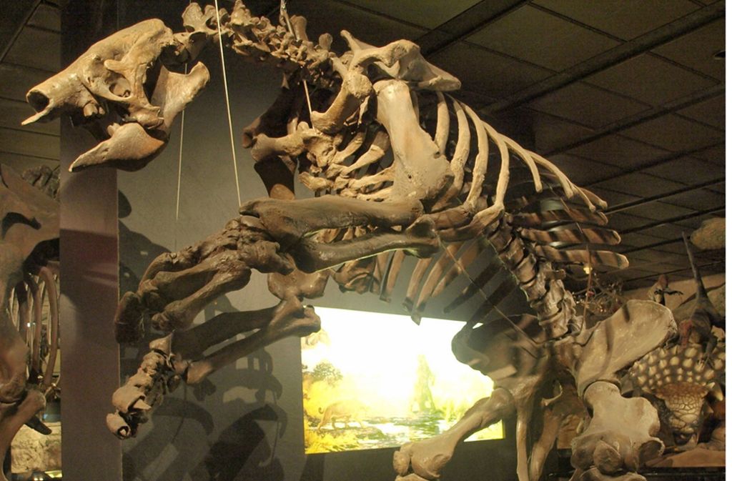 Skelettrekonstruktion eines Eremotherium laurillardi im Naturkundemuseum von Daytona Beach (US-Bundesstaat Florida).