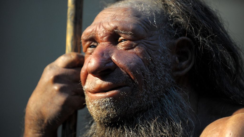Speisekarte der Frühmenschen: Mammut-Braten nach Neandertaler-Rezept