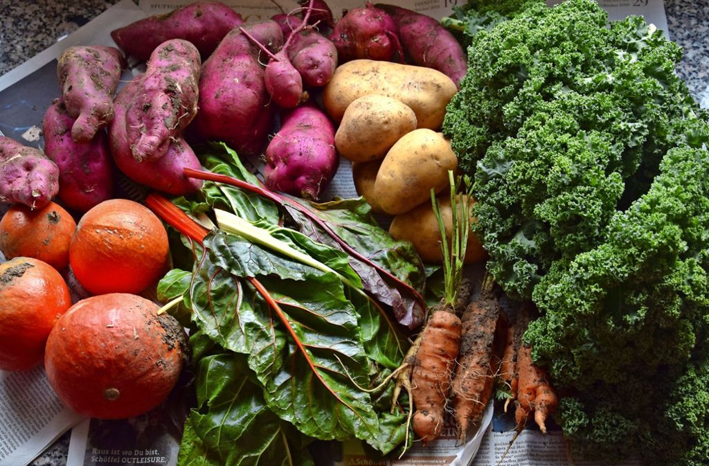Feldfrüchte in  allen Farben: Wir kochen mit Kürbis, Mangold, Süßkartoffeln, Möhren, Kartoffeln und Grünkohl. Foto: privat