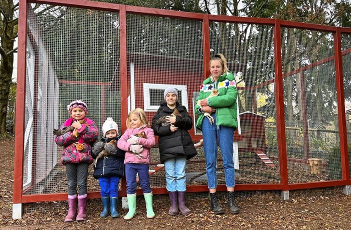 Hühnerstall in  Wohnsiedlung in Stuttgart: Hühner als  Quell der Freude und des Ärgers