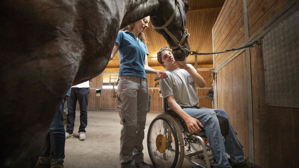 Pferde helfen Menschen: Therapie mit Pferdestärke