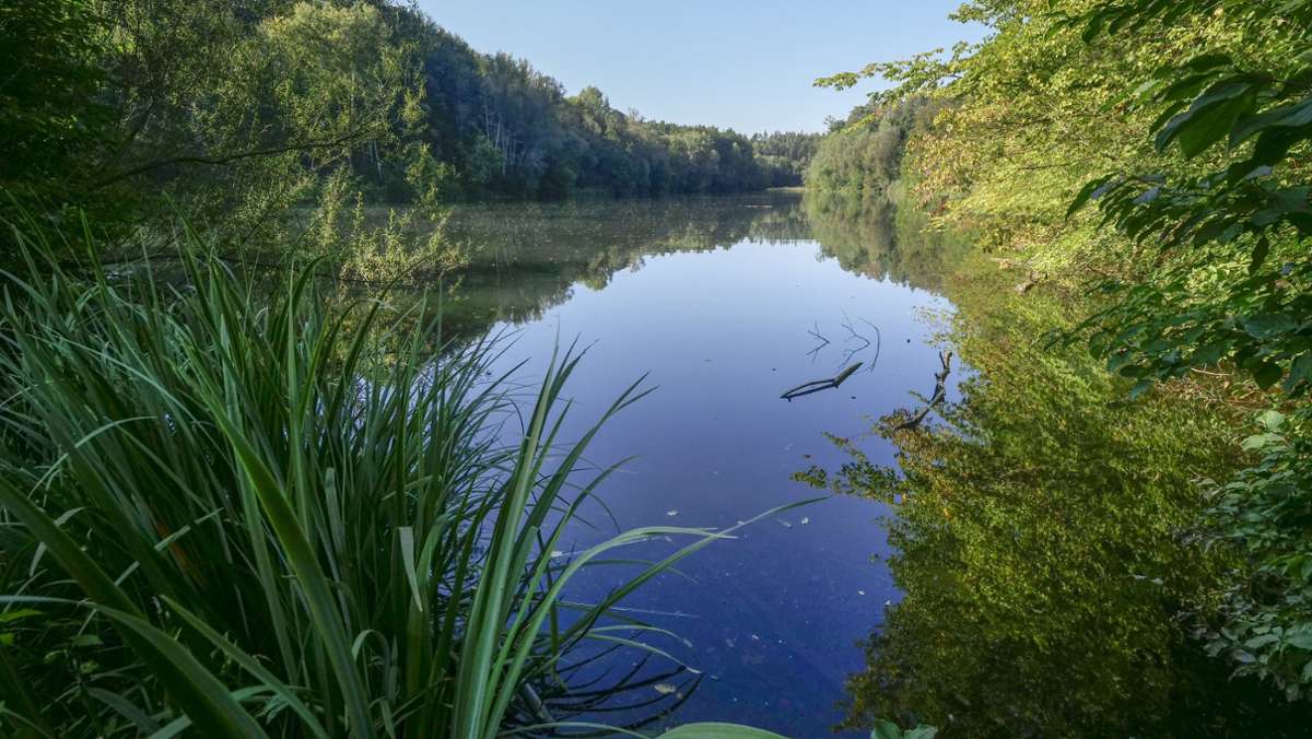 Tourismus gegen Naturschutz im Kreis Böblingen: Der Sulzbachsee als touristisches Ziel?