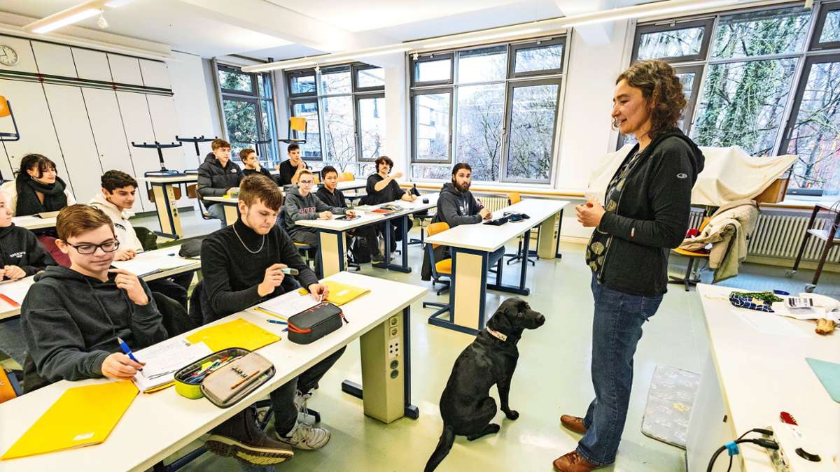 Freihof-Gymnasium Göppingen: Wie Hunde das Schulklima verbessern