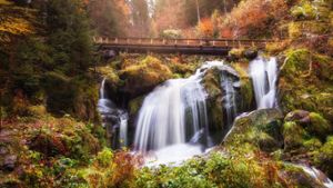 Die Triberger Wasserfälle im schönen Schwarzwald locken zu jeder Jahreszeit Besuchende an.