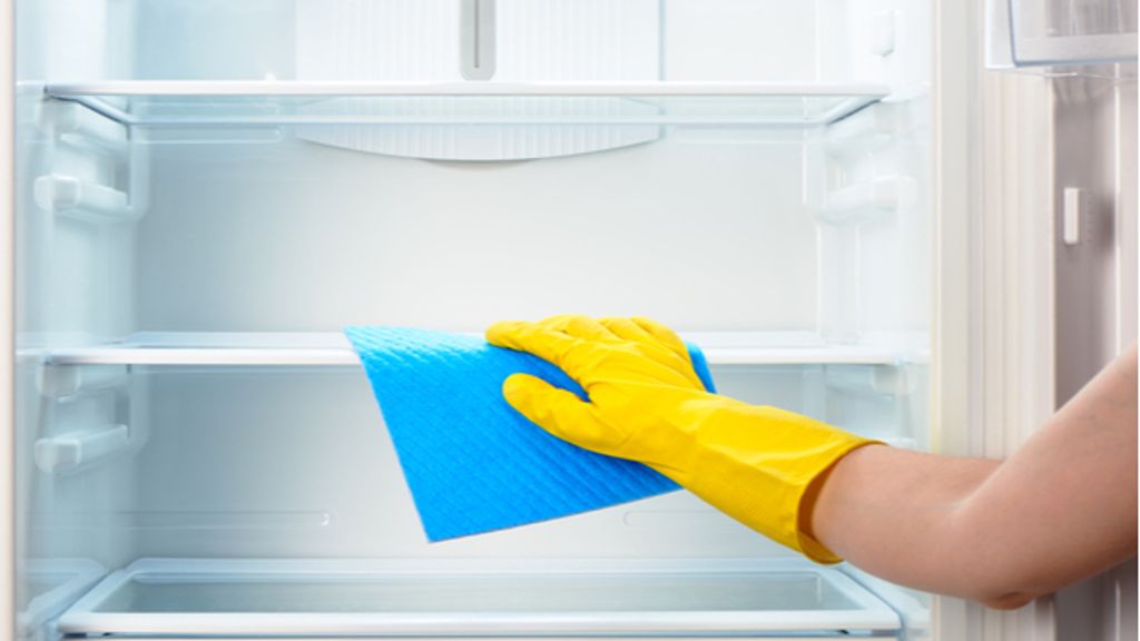 Kühlschrank reinigen in 5 Schritten (einfache Anleitung)