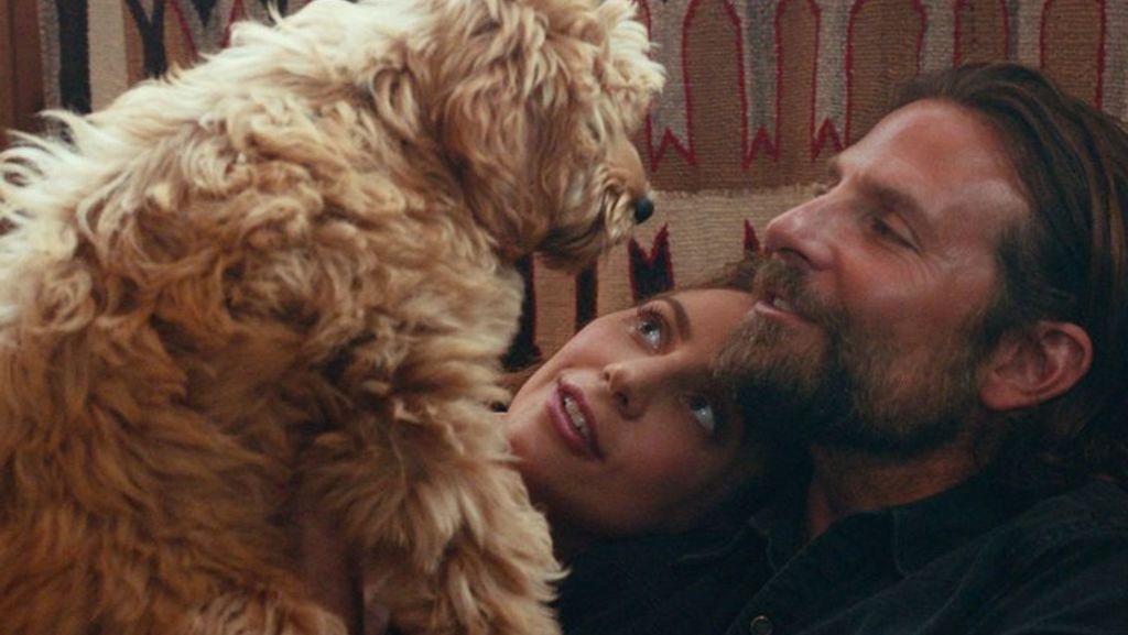  Bei den Oscars geht der Film „A Star is Born“, das Liebesdrama von Regisseur und Schauspieler Bradley Cooper, mit acht Nominierungen ins Rennen. Allerdings nicht für die beste Regie. Diese Auszeichnung hat Cooper auf anderem Weg erhalten. 