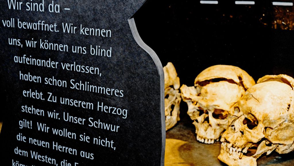 Keltenmuseum Hochdorf: Die Geschichten hinter der Geschichte