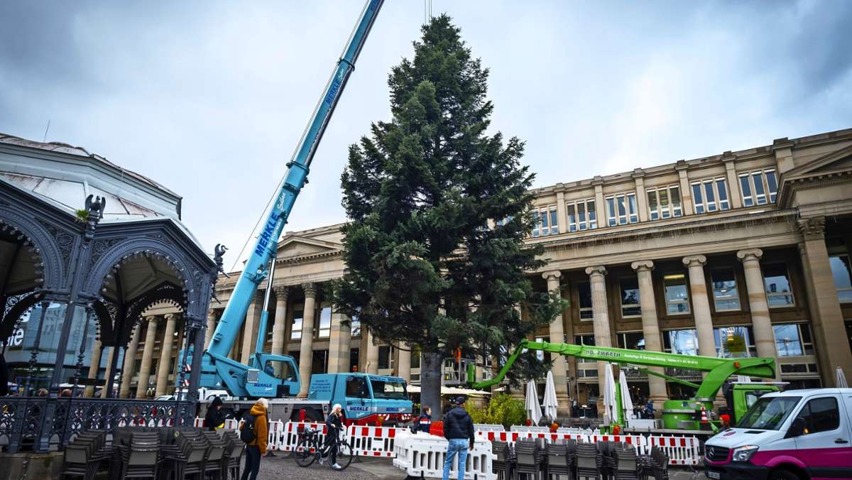  Seit Freitag steht der Weihnachtsbaum auf dem Schlossplatz in Stuttgart. Geschmückt wird der Vorbote für die Adventszeit und den Weihnachtsmarkt dann in der kommenden Woche. 