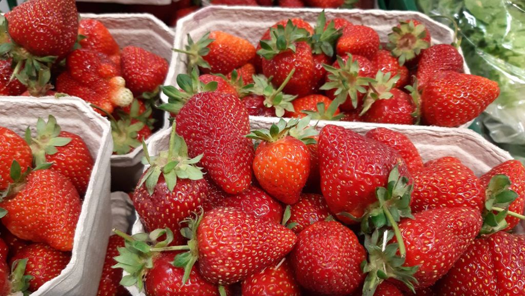 Ekelvideos von Erdbeeren aufgetaucht: Das verbirgt sich wirklich in den Früchten