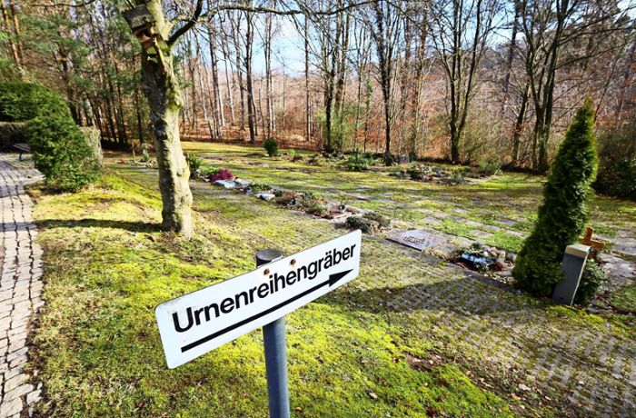 Freigehaltene Fläche für  Waldfriedhof bleibt ein Wald